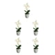 thumbnail image 1 of Bewildely Pets Friendly Flor artificial No tóxico para gatos y perros Fácil de mantener Planta artificial Blanco Type2 NO2, 1 of 6
