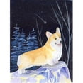 thumbnail image 1 of Carolines Treasures SS8353CHF Starry Night Corgi Flag Canvas - House Size, 1 of 4