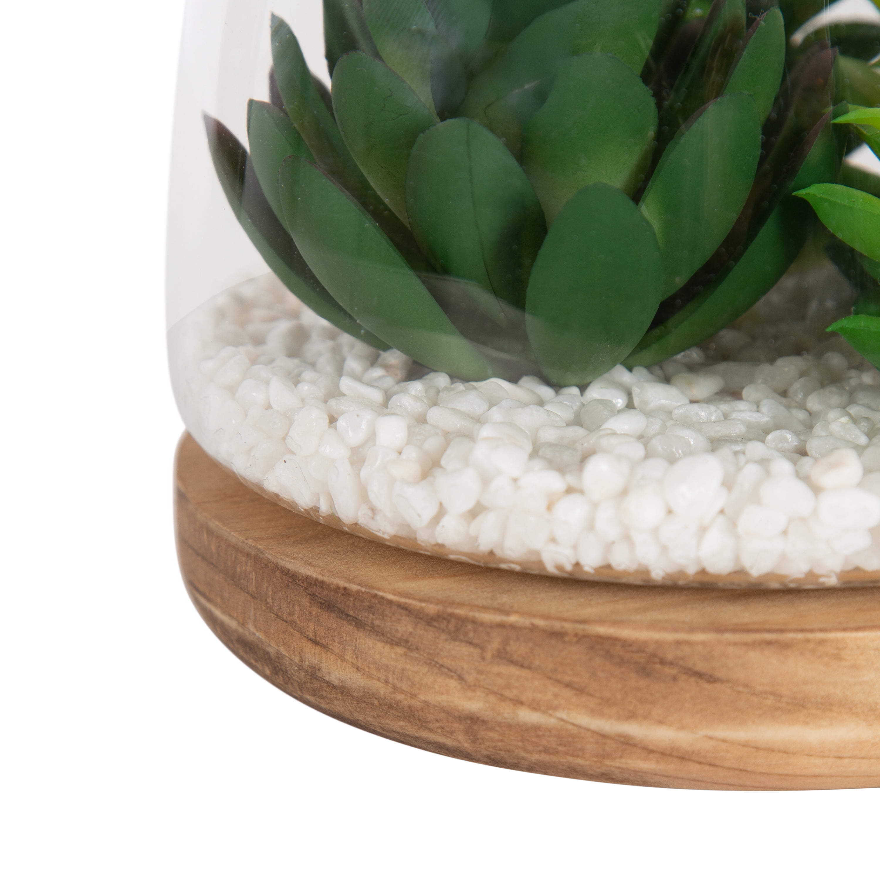 Mainstays 5" Tabletop Faux Succulent Glass Terrarium on Circle Wood Base