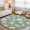 Sage Green, variant on Round Rugs 4Ft, Starfish Aqua Blue Coastal Round Area Rug Washable Indoor Throw Carpet, Summer Nautical Shell Beach Soft Non Slip Circle Rug for Kitchen Nursery Room Home Decor Aesthetic
