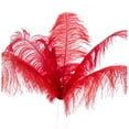 thumbnail image 2 of 40 Pcs Natural Ostrich Feathers Wedding Decoration Red 20-25cm, 2 of 4