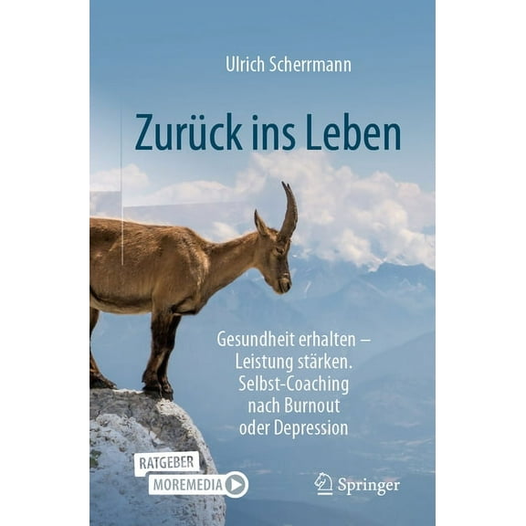 ZurÃ¼ck Ins Leben: Gesundheit Erhalten - Leistung StÃ¤rken. Selbst-Coaching Nach Burnout Oder Depression, (Paperback)