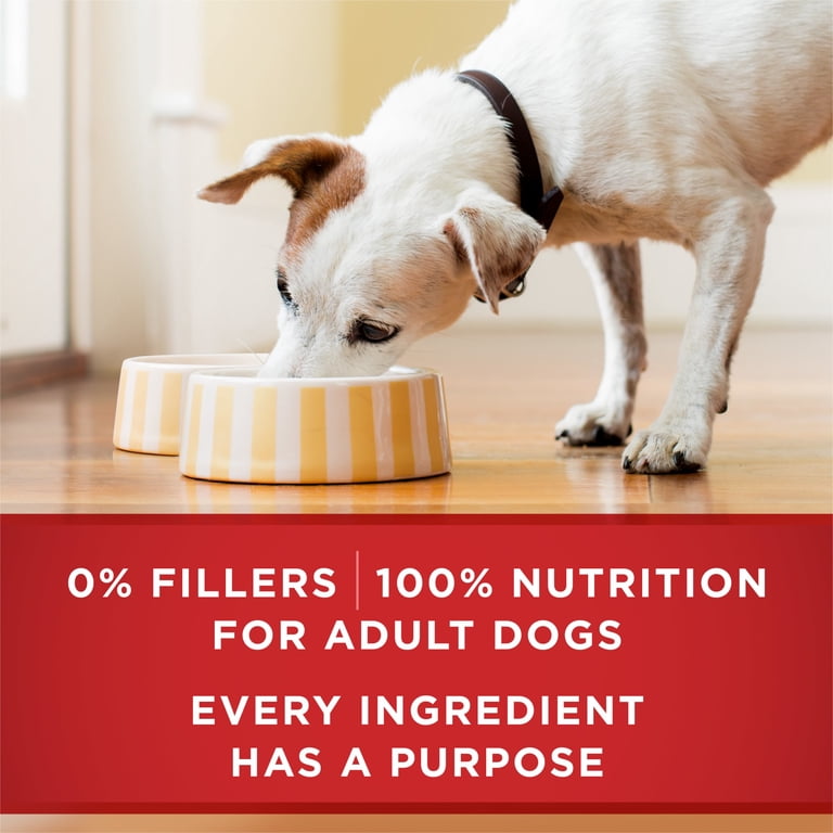 Natural Wet Dog Food, Lamb & Brown Rice in Gravy photo 7