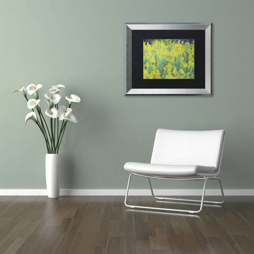 Trademark Fine Art "A Touch of Purple" Canvas Art by Kurt Shaffer, Black Matte, Silver Frame