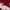 Red Ochre, variant on Chaps Mens Holiday Crew Neck Pullover Christmas Sweater, Sizes S - 2XL