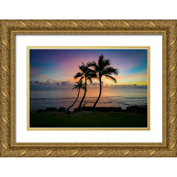 Peebles, Douglas 14x11 Gold Ornate Wood Framed with Double Matting Museum Art Print Titled - Three coconut palm tree-Sunrise-Hauula-Windward-Oahu-Hawaii