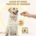 thumbnail image 4 of Stop Eating Poop for Dogs, No Poo Chews for Dogs, Stopping Dog from Eating Poop, - Premium Grain-Free Formula to Stop Dog Poop Eating Habit - Digestive Health & Balanced Nutrition for All Breeds, 120, 4 of 10