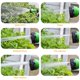 thumbnail image 3 of Manguera de jardín, manguera de agua, manguera mágica expandible, 7 patrones, pistola de agua, olla de espuma, carretes flexibles, manguera, pistola de lavado de autos, rociador SMTX, 3 of 5