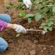 thumbnail image 2 of Manual Weeding Tool 5 Teeths Hand Weeder Puller Uprooting Weeder Tool, 2 of 5
