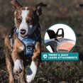 thumbnail image 3 of Embark Urban Dog Harness, No-Pull Reflective Trim Dog Harness for Small, Medium & Large Dogs - Heavy Duty Oxford, 2 Leash Clips & Gel Lined Handle. Soft & Padded Puppy Dog Vest for Any Breed, 3 of 9