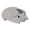 Gray, variant on Cute Pig Dual Mode Wireless Silent Ergonomic Mouse for Laptop PC Gift for Kids Animal Lovers