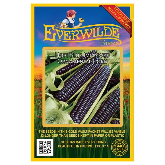 Everwilde Farms - 40 Hopi Blue Improved Ornamental Corn Seeds - Gold Vault Seed Packet