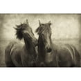 thumbnail image 3 of Van de Goor, Lars 18x13 Black Modern Framed Museum Art Print Titled - Horses Dont Whisper, 3 of 5