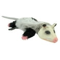 thumbnail image 3 of Hyper Pet Real Skinz Stuffless Plush Squeaky Dog Toy with Squeaker, Opossum, Medium, 3 of 12