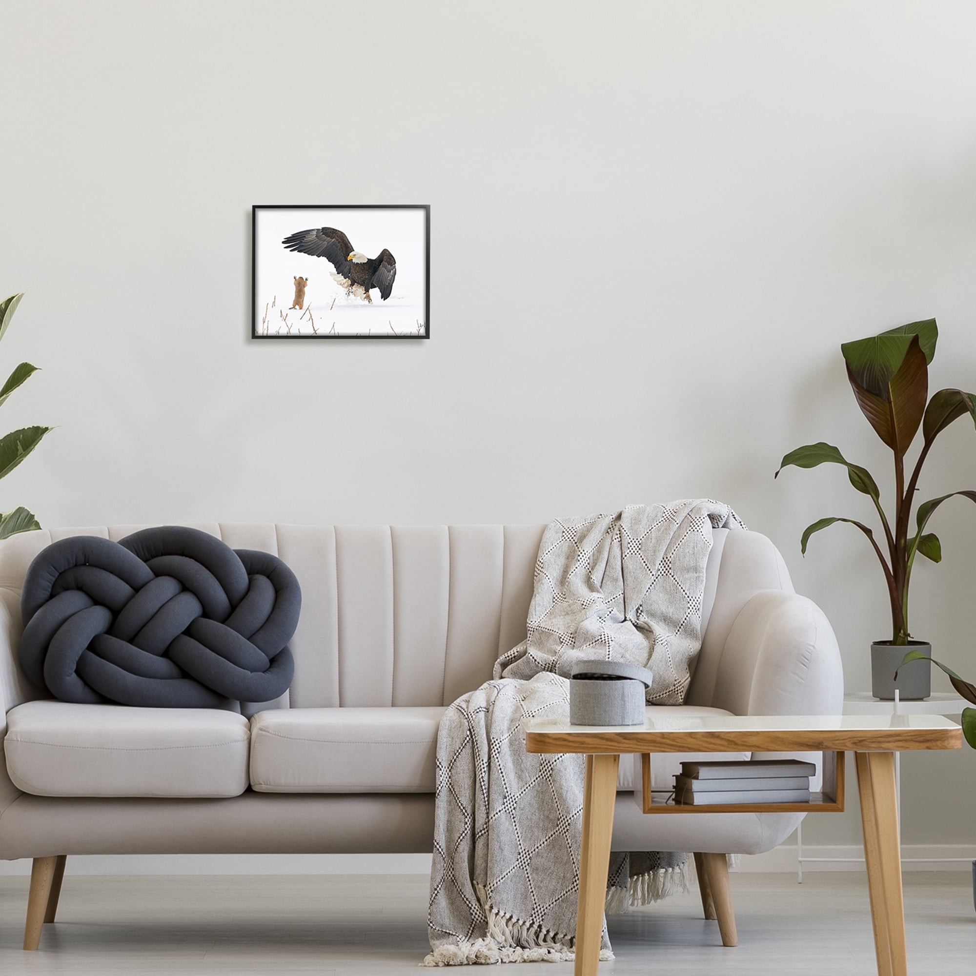 Stupell Industries Prairie Dog & Eagle Animals & Insects Photography Black Framed Art Print Wall Art, 14 x 11