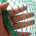 thumbnail image 1 of Heavy-Duty PE Material Outdoor Use Ultimate Protection Bird Netting For Protect Poultry, Super Strong Woven Netting 4m X 5m, Wide Selection Of Scenarios, 1 of 5