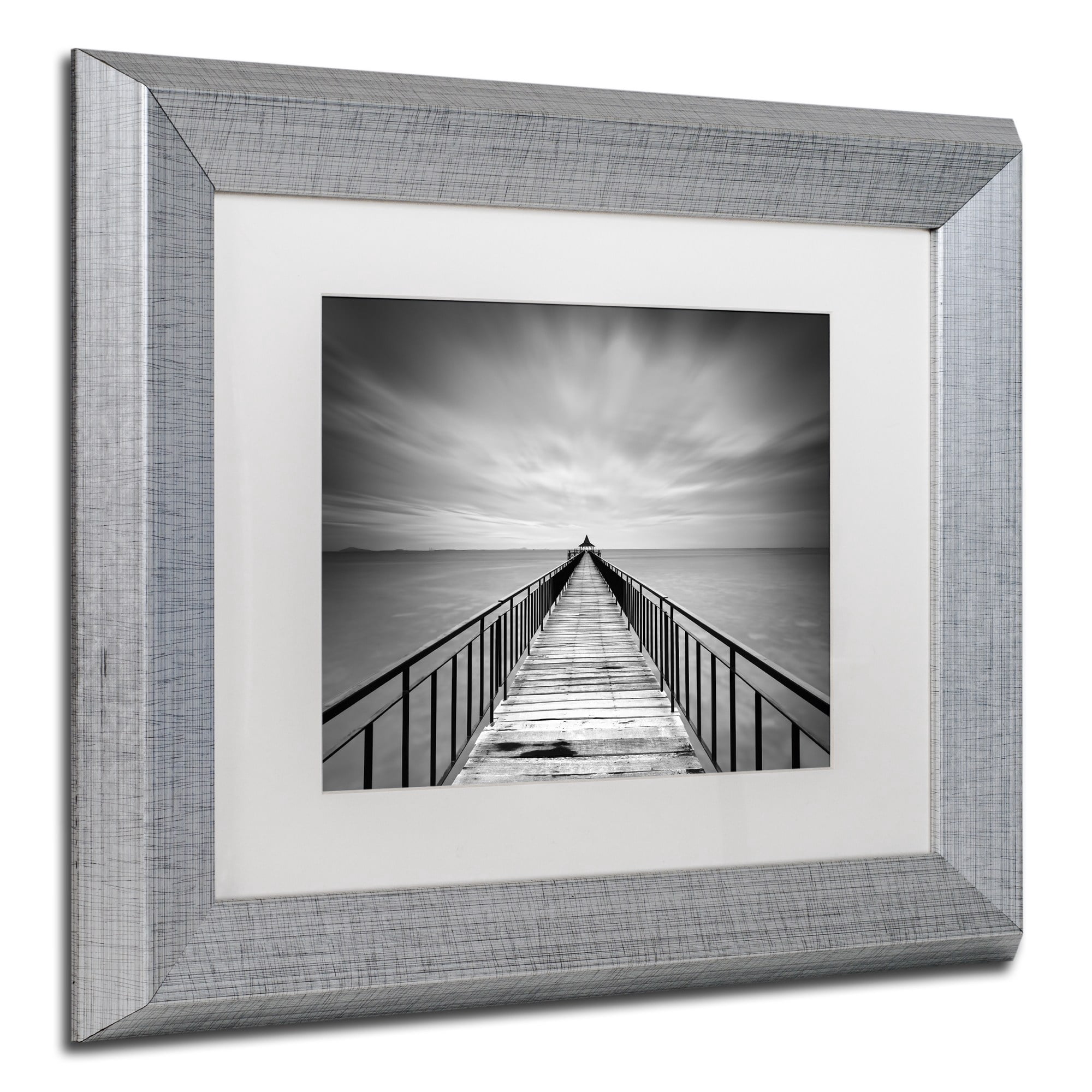 Trademark Fine Art "Withstand" Canvas Art by Michael de Guzman White Matte, Silver Frame