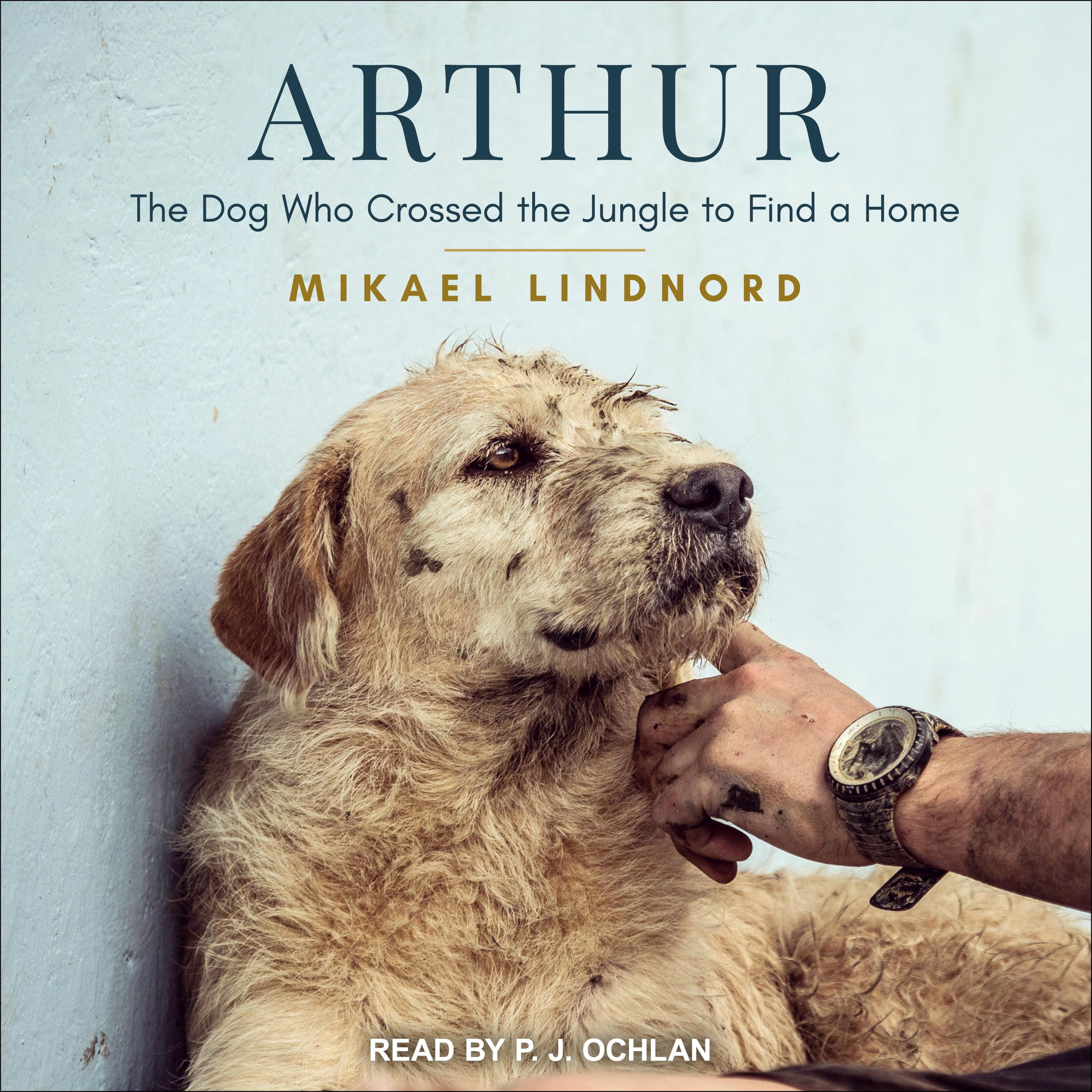 Is Arthur the King Based on a True Story ThePopTimes