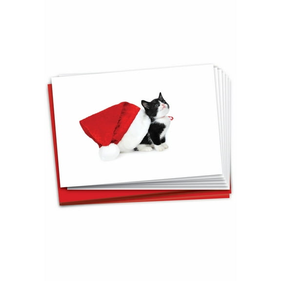 Pack of 12 Merry Christmas Greeting Cards (1 Design, 12 Cards) - Santa Cats B6687FXSG