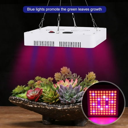 Anauto 85-264V 100LED 300W Grow Light Full Spectrum Lamp for Hydroponics Indoor Plants Flowers US Plug, LED Grow Light, LED Grow