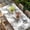 Light Gray, variant on Black White Motorcycles Table Cloths for 6 Foot Rectangle Tables, Modern Hand-Painted Vehicles Patio Waterproof Elastic Fitted Tablecloths, Washable Rectangular Table Cover for Camping