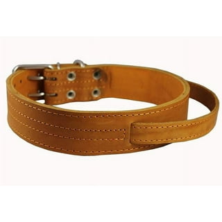 Great Dane Collar