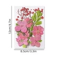 thumbnail image 1 of Colorful Natural Dried Flowers and Embossed Decorative Set, 1 of 5