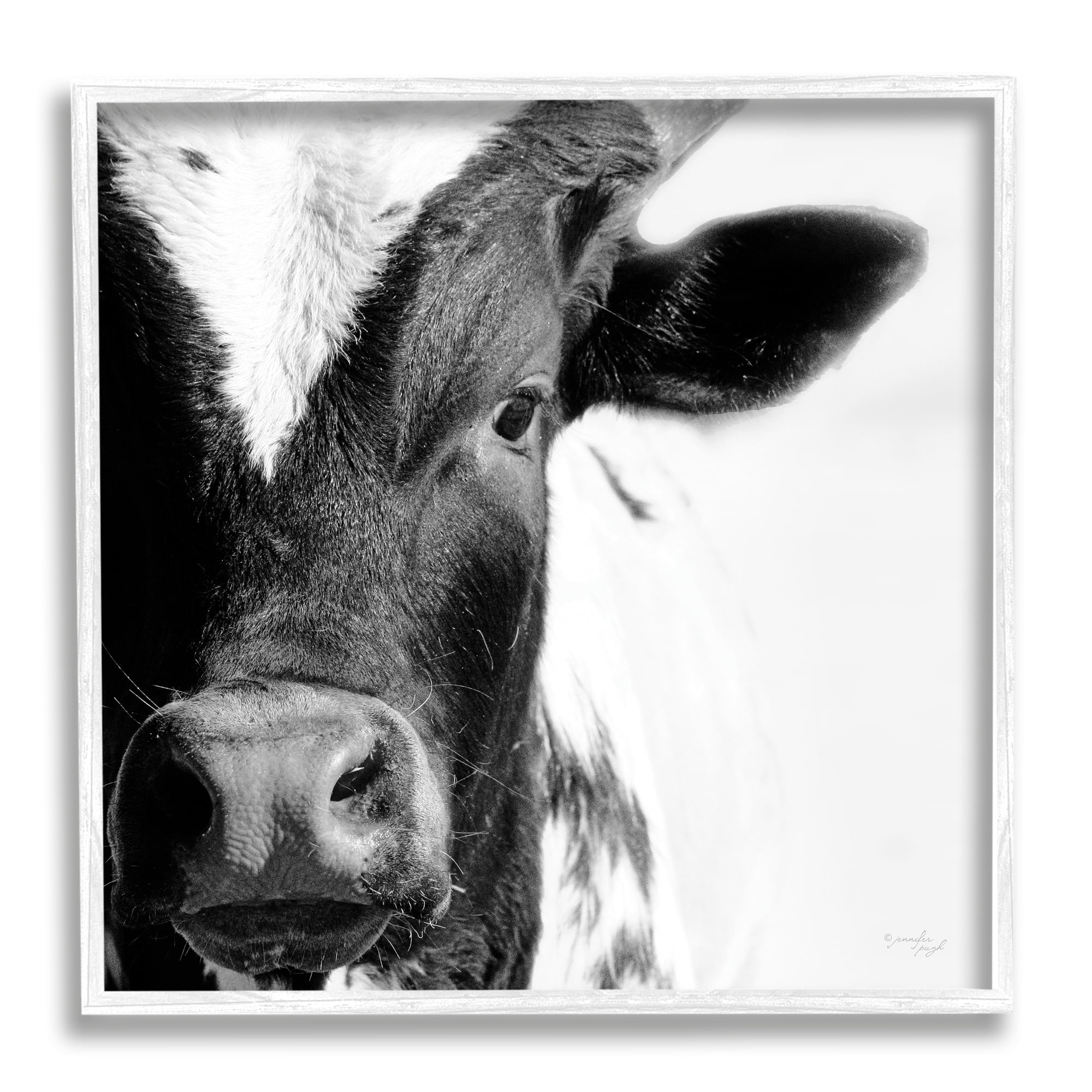 Stupell Industries Rural Farm Cow Stunning Up Close Photography Photograph White Framed Art Print Wall Art, Design by Jennifer Pugh