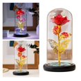 thumbnail image 4 of LED Colorful Lamp Enchanted Flower for Home Decoration Mom Gift, 4 of 9