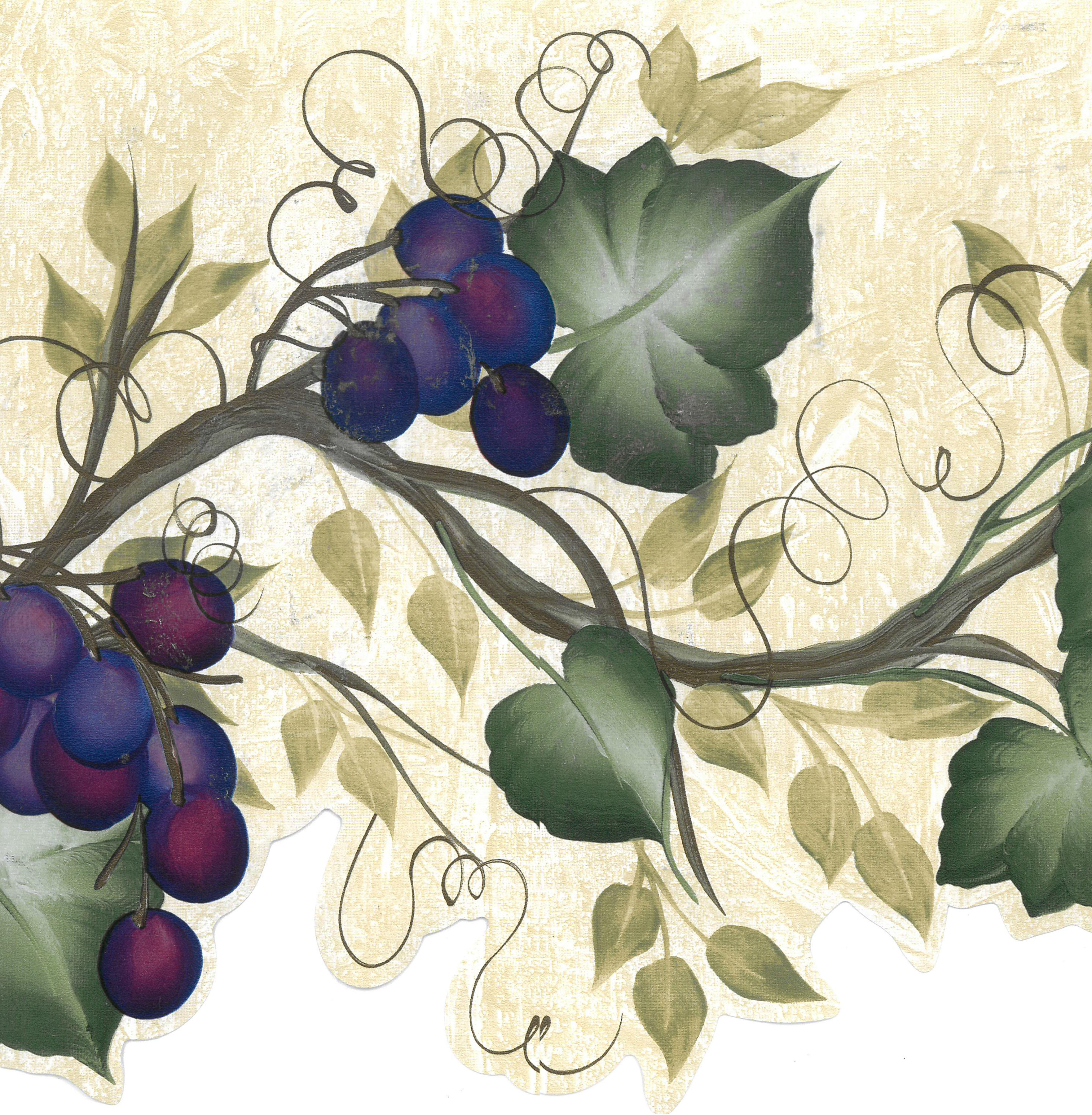 Dundee Deco Prepasted Wallpaper Border Fruits Green, Beige, Purple Grapes on Vine Scalloped