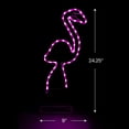 thumbnail image 5 of Northlight LED Rope Lighted Flamingo Silhouette Outdoor Decoration - 24" - Pink Lights, 5 of 9