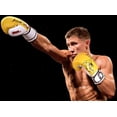 thumbnail image 5 of DEFY Marvelous Boxing Gloves - Ideal for Men & Women, Muay Thai, Kickboxing, MMA, Yellow Tiger, 14 oz, 5 of 5