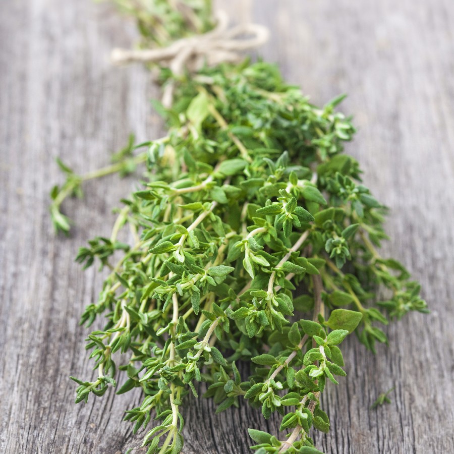 Buy Thyme Buds