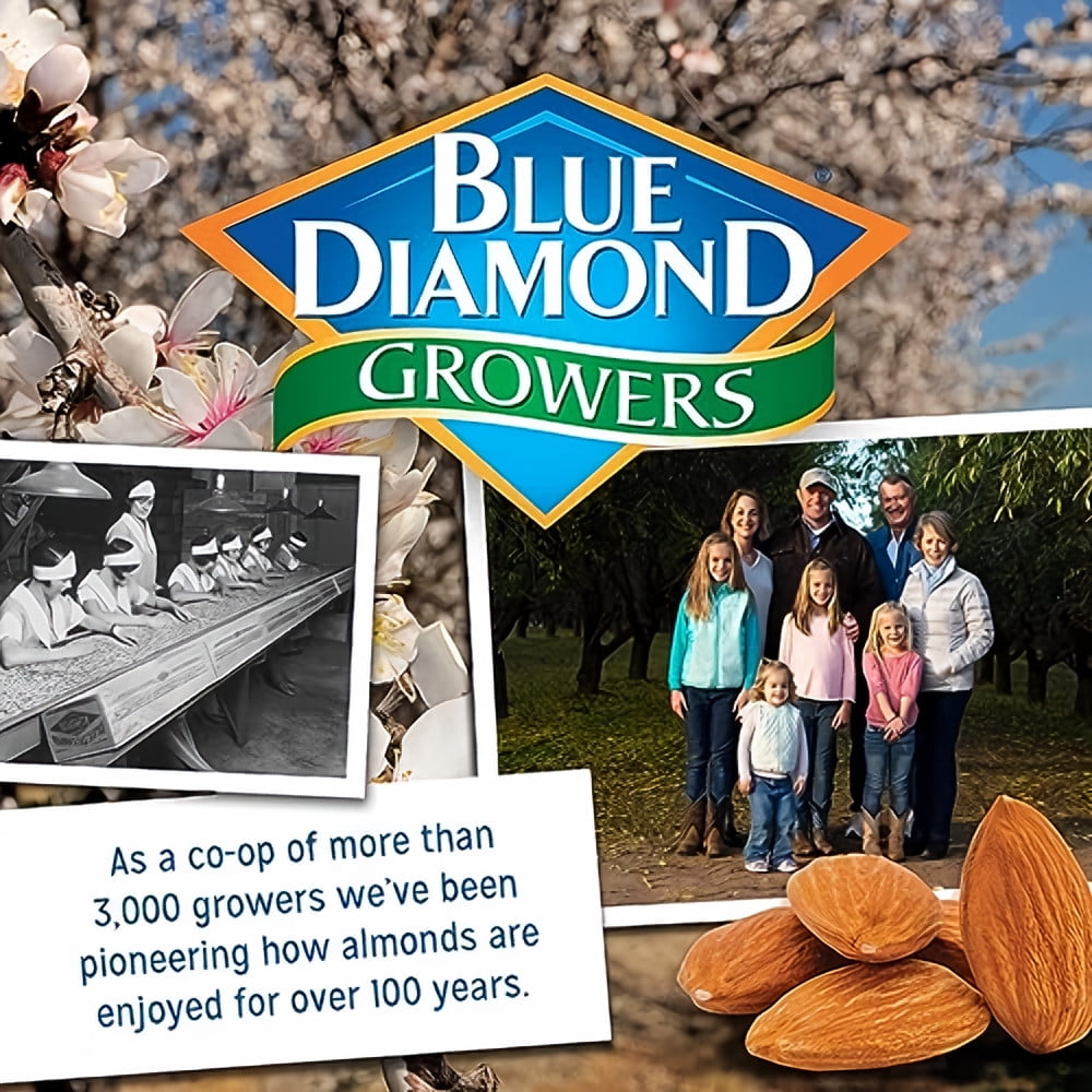 Blue Diamond Lightly Salted Almonds (Pack of 48)