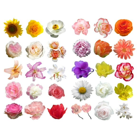 Colored Flower Buds Aesthetic Sticker Pre-cut Cute Diary Travel Paper Journal Stickers Scrapbooking Stationery Sticker Flakes Art Supplies