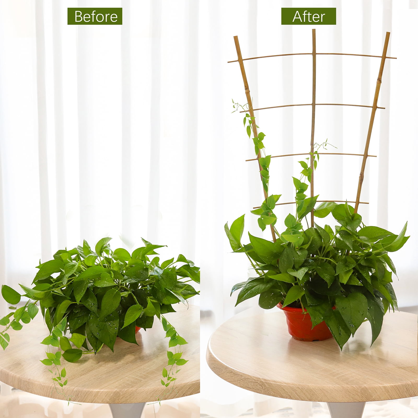 2ft Fan-Shaped Bamboo Trellis-Indoor Plant Support for Climbing Plants, Vegetables, and Potted Plants 3pcs