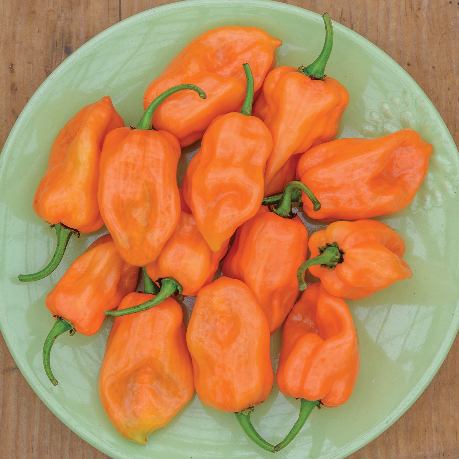 Expert Gardener Hot Habanero Orange Pepper Vegetable