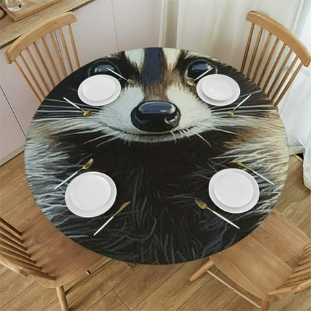 

Autua Raccoon Theme Round Tablecloth with Elastic Edge Stain-Resistant & Washable Ideal for Indoor and Outdoor Use Multiple Sizes Available 38 -42