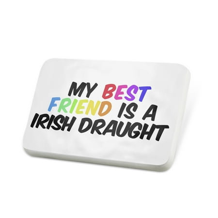 Porcelein Pin My best Friend a Irish Draught Irish Draft, Horse Lapel Badge –