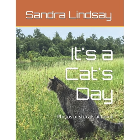It s a Cat s Day: Photos of six cats at home (Paperback)