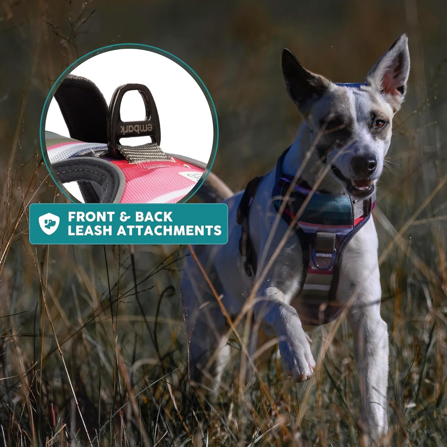 Embark Urban Dog Harness, No-Pull Reflective Trim Dog Harness for Small, Medium & Large Dogs - Military Grade Nylon, 2 Leash Clips & Gel Lined Handle. Soft & Padded Puppy Dog Vest for Any Breed