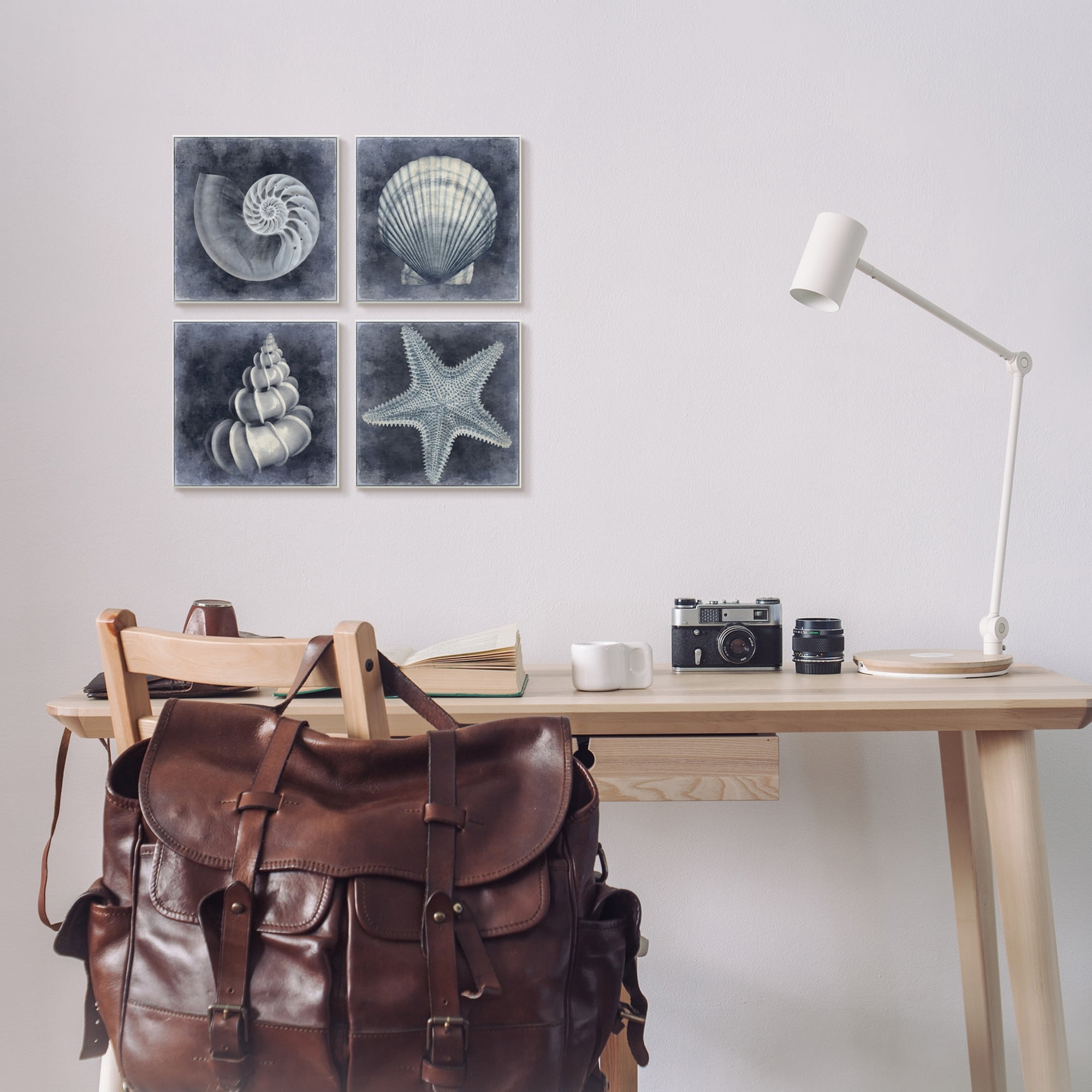 Stupell Industries Nautical Distressed Seashells and Starfish Blue White Black Framed by Caroline Kelly