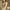 Green, variant on Herrnalise Women's Comfort Underwire Bra, Full Coverage Convertible T-Shirt Bra Beige