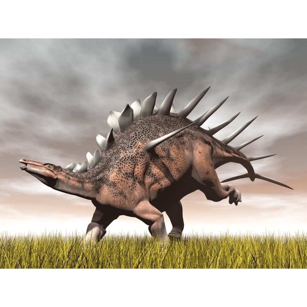 Kentrosaurus dinosaur running on the yellow grass Poster Print ...