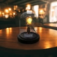 thumbnail image 5 of Wzzjkit Easy DIY Seashell Nightlight Kit Non Finished Produc, 5 of 5