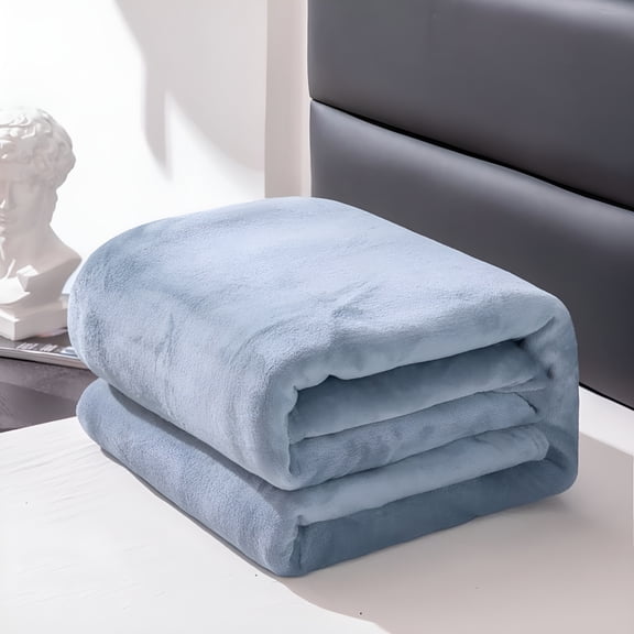 ARLAJO Comfort Plush Flannel Bed Blanket,Soft,Lightweight,Super Soft Flannel King Size Blanket for Bed,Luxury Cozy Microfiber Plush Fuzzy Blanket,Light Grey Comfort Blanket