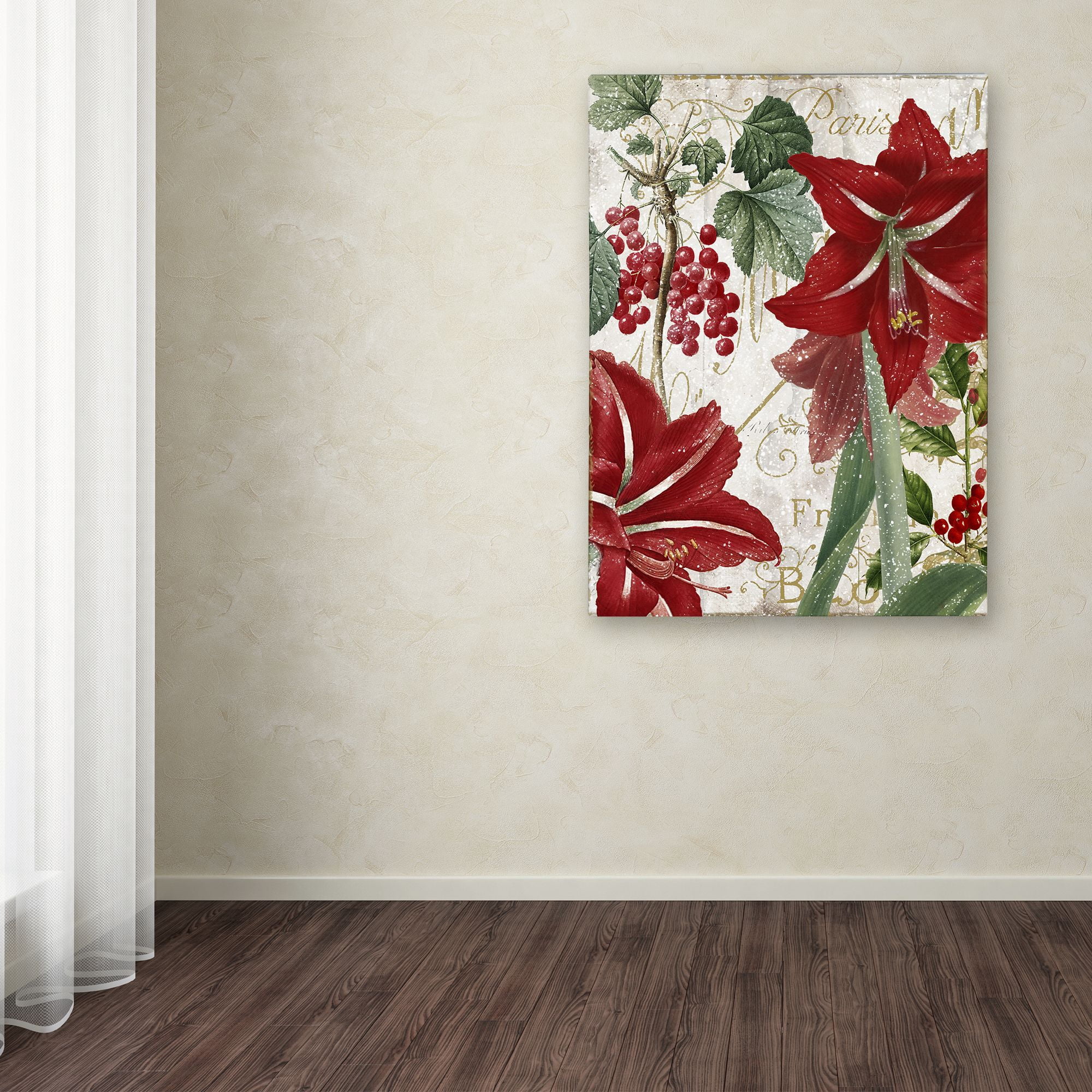 Trademark Fine Art "Amaryllis" Canvas Art by Color Bakery