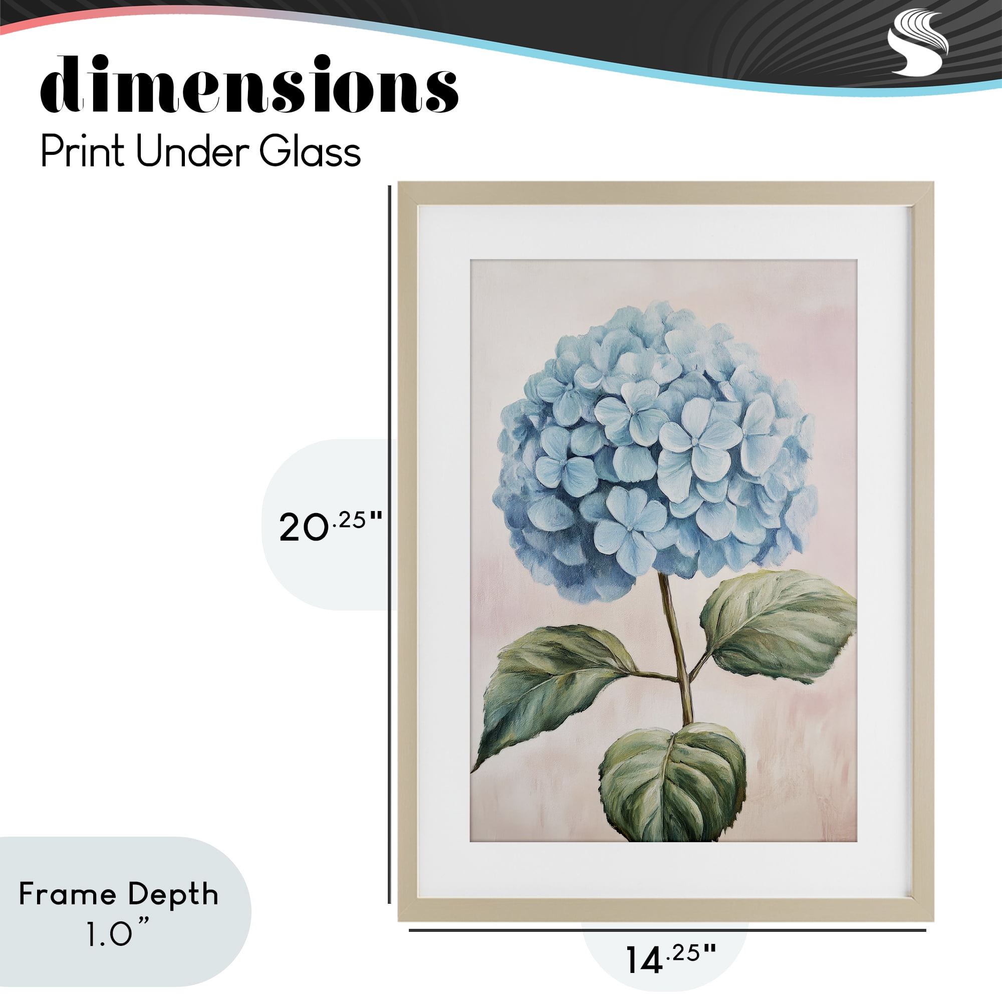Stupell Industries Delicate Baby Blue Hydrangea Birch Framed Print Under Glass, design by Petal Prints Design