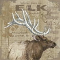 thumbnail image 2 of Phillips, Anita 26x26 White Modern Wood Framed Museum Art Print Titled - Where Does an Elk Walk, 2 of 4