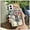 Gold, variant on JNG-Phone Case For MOTO G Power 5G 2024, Durable Cover TPU Cute Fashion Design Dirt-resistant Anti-knock Full wrap Anti-dust Soft case Silicone Back Cover Shockproof Waterproof Cartoon